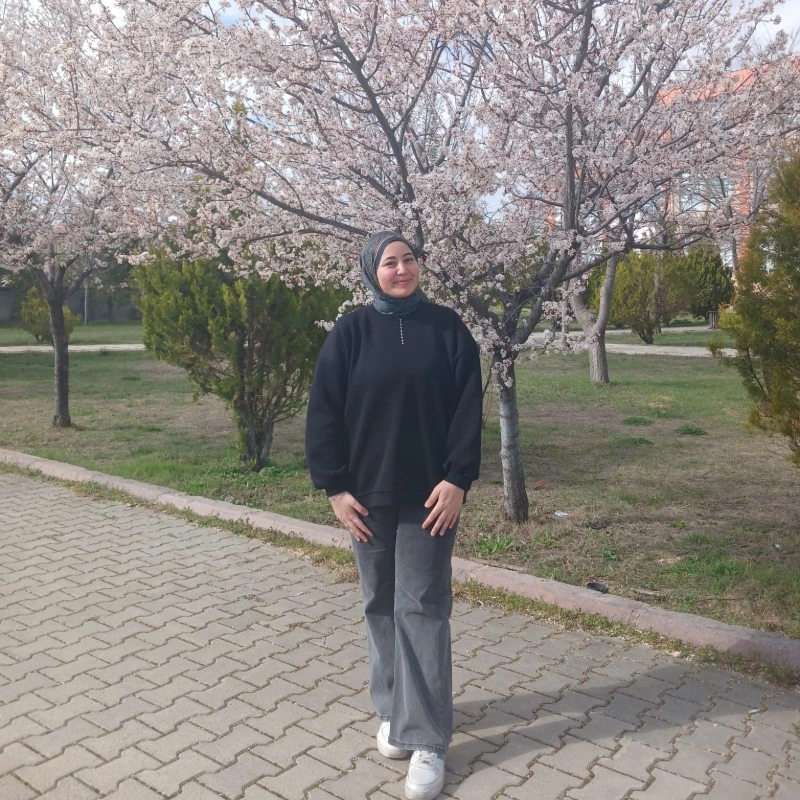 Ebru Gök